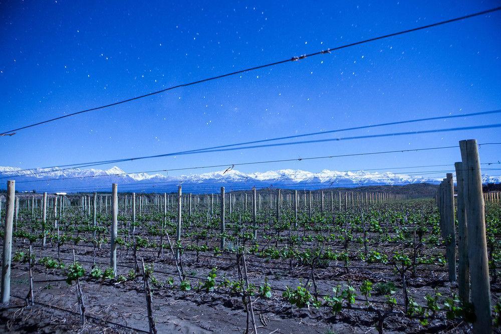 Auberge Du Vin, A Tribute Portfolio Hotel Tupungato Bagian luar foto